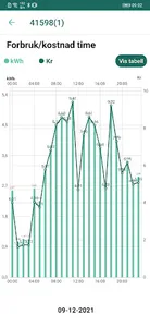 Hurum Kraft screenshot 3