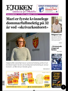 Fjuken eAvis screenshot 6