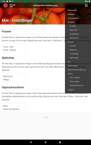 Egenkontroll screenshot 22