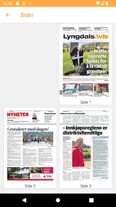 Lyngdals Avis eAvis screenshot 4