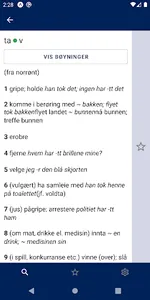 Den store bokmålsordboka screenshot 2