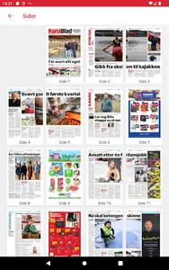 Rana Blad eAvis screenshot 10