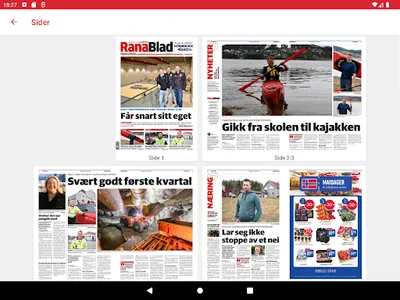 Rana Blad eAvis screenshot 15