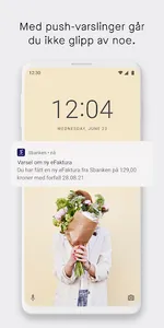 Sbanken screenshot 2