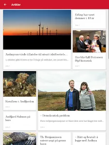 Vikebladet Vestposten eAvis screenshot 8