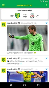 Norwich Canaries screenshot 0