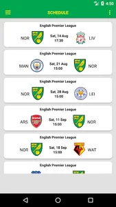Norwich Canaries screenshot 2