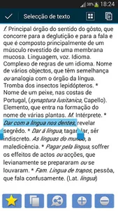 Dicionário de Português screenshot 3