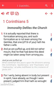 NRSV Bible app screenshot 21