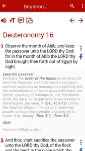 NRSV Bible screenshot 5