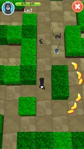 Sweet Cattery——Cat-raising gam screenshot 5