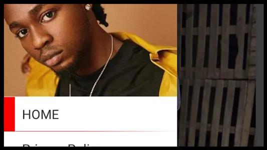 Omah Lay Songs screenshot 9