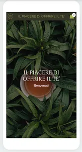 Offrire il Te screenshot 0