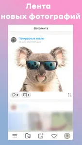 Фотолента screenshot 5