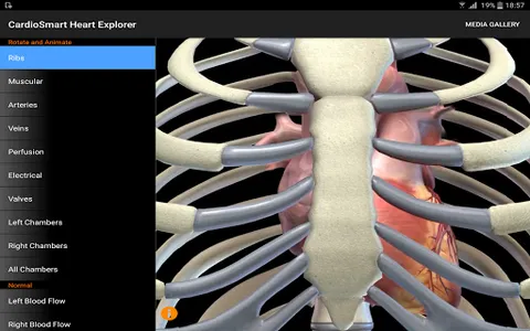 CardioSmart Heart Explorer screenshot 10