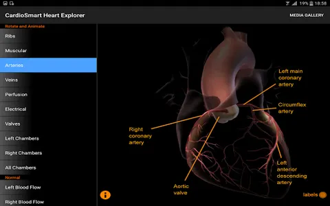 CardioSmart Heart Explorer screenshot 13