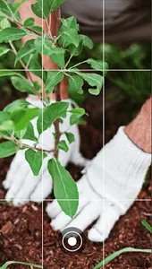 Reforesta Panamá - Siembra un  screenshot 4