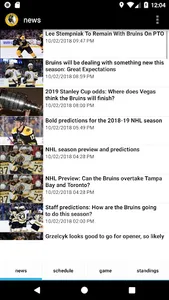 Boston Hockey - Bruins Edition screenshot 0