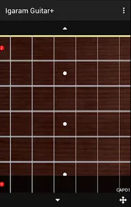 Igaram Guitar + screenshot 0