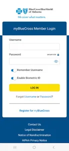 Alabama Blue screenshot 0