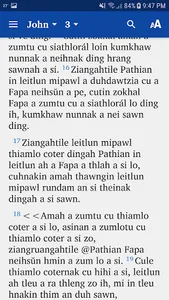 Falam Chin Standard Bible screenshot 2