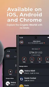 Blade Wallet screenshot 6