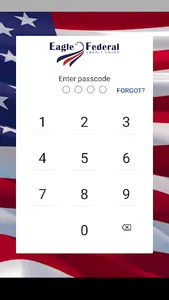 Eagle Federal screenshot 0