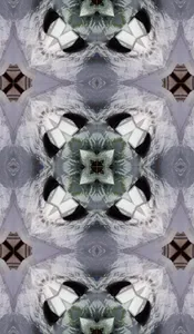 Symmetricon screenshot 4