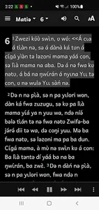 Nuni Southern Bible screenshot 3