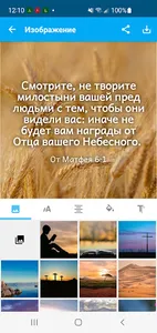 Russian SYN Bible screenshot 4