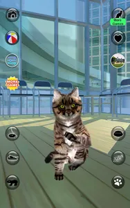 Talking Reality Cat screenshot 10