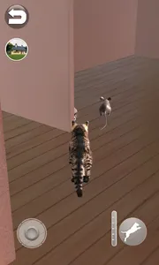 Talking Reality Cat screenshot 4