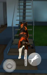 Talking Calico Cat screenshot 11