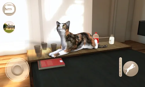 Talking Calico Cat screenshot 4