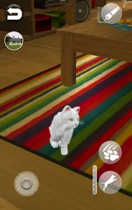 Talking Cute Cat screenshot 11