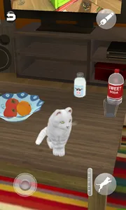 Talking Cute Cat screenshot 4