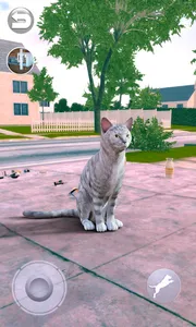 Talking Tabby Cat screenshot 4