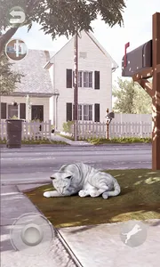 Talking Tabby Cat screenshot 6