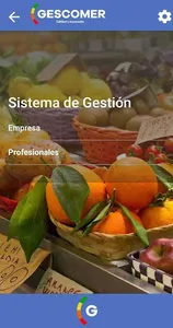 Gescomer screenshot 1