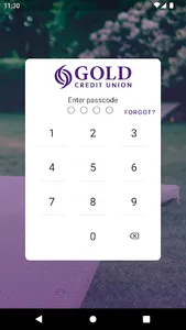 GOLD CU screenshot 0