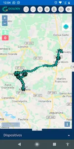 Golden Rastreamento Servidor 2 screenshot 4