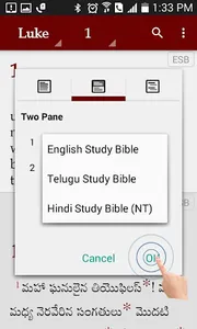 Study Bibles (Multiple Languag screenshot 4