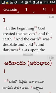 Study Bibles (Multiple Languag screenshot 5