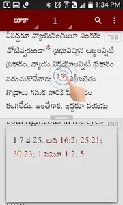 Study Bibles (Multiple Languag screenshot 7