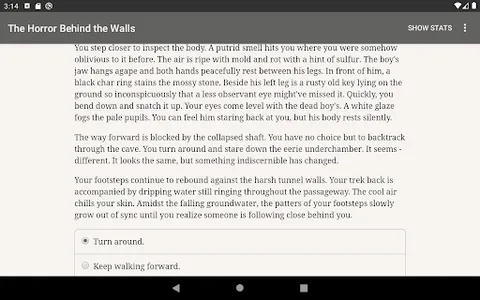 The Horror Behind the Walls screenshot 10