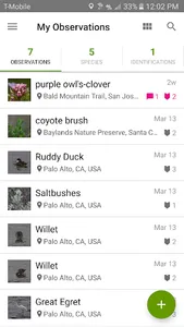 iNaturalist screenshot 2