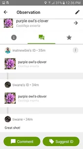 iNaturalist screenshot 3