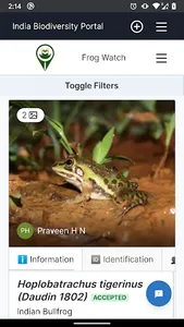 Frog Watch screenshot 1