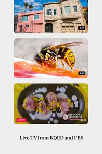 KQED: Bay Area Culture & News screenshot 13