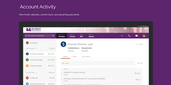 Los Angeles Federal Credit Uni screenshot 16